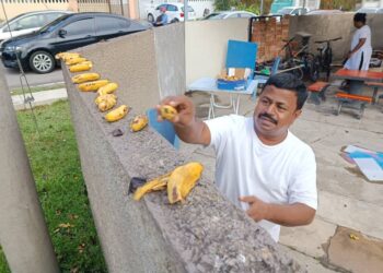 P. Senthil Kumar menyusun pisang di atas tembok rumahnya di Bukit Senjuang, Melaka. - UTUSAN/DIYANATUL ATIQAH ZAKARYA
