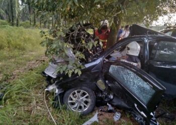 ANGGOTA  bomba dan penyelamat  mengeluarkan mangsa yang tersepit selepas terlibat dalam kemalangan di Jalan Kulim - Baling berhampiran Ladang Bukit Selarong, Kulim semalam.