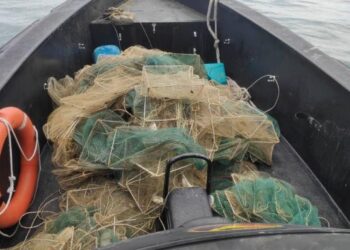 PORT DICKSON 8 Nov.- SEBAHAGIAN bubu naga yang dirampas pihak Maritim Malaysia selepas ia dijumpai di sekitar perairan Lukut, Port Dickson, semalam.