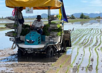 MOHAMAD Sabu membawa sendiri jentanam atau transplanter untuk menyemai anak padi dengan kaedah teknologi moden tersebut selepas meninjau program SMART SBB Mini Sekinchan MADA-Bernas di Kampung Lat 1,000, Simpang Empat, Arau, Perlis hari ini.- UTUSAN/MOHD. HAFIZ ABD. MUTALIB