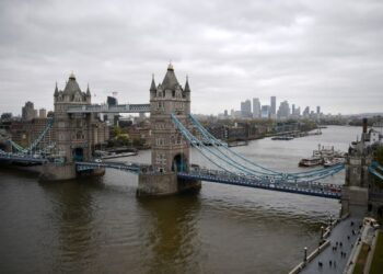 IKAN jerung ditemukan hidup dan membiak di Sungai Thames. - AFP