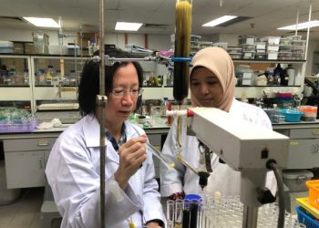 DR. LING Sui Kiong  bersama Penolong Pegawai Penyelidik, Salbiah Man menjalankan kerja-kerja analisis di makmal FRIM.