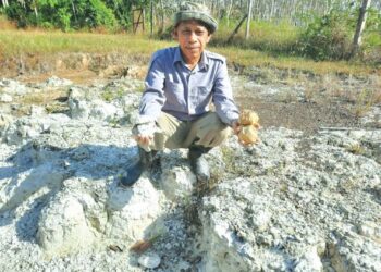 ABDUL Halim Jusoh menunjukkan debu gunung berapi di Tapak Terpelihara Geowarisan Kedah di Kampung Padang Nyior, Padang Sanai, Padang Terap, Kedah. - UTUSAN/MOHD. RIFAAT ABD. HAMID