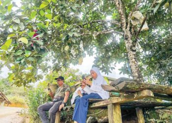 PENDUDUK terpaksa melayari internet di kawasan berbukit dan bawah pokok nangka bagi mendapatkan liputan di Kampung Lebur, Kuala Betis,Gua Musang, Kelantan. -UTUSAN/AIMUNI TUAN LAH
