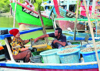 SEORANG penduduk melakukan kerja-kerja mengasingkan siput retak seribu yang ditangguk oleh nelayan di Kuala Perlis, baru-baru ini. 
– UTUSAN/MOHD. HAFIZ ABD. MUTALIB