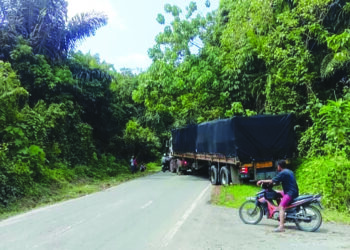 SEBUAH lori muatan berat yang mengundur akibat hilang kuasa enjin antara kejadian kerap berlaku di Kilometer 6, Jalan Jerantut-Lipis berdekatan Kuala Tembeling di Jerantut, Pahang. - IHSAN PENGGUNA JALAN RAYA
