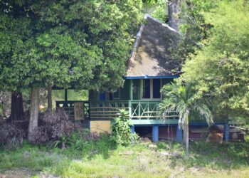 KEADAAN Lake Chini Resort berhampiran Tasik Chini di Pekan, Pahang yang terus terbiar dinaiki pokok-pokok menjalar hingga boleh   diumpamakan resort berhantu. - UTUSAN/SHAIKH AHMAD RAZIF