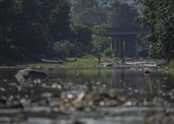 BAPA campak anak sendiri dalam Sungai Teluk Dawan yang menjadi habitat buaya. – CNN INDONESIA