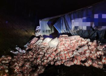 SEBAHAGIAN kampit gula berselerak di tepi jalan raya selepas sebuah lori terbabas ke tebing bukit dan pemandunya maut di Kilometer 43.5 Lebuh Raya Kuala Lumpur-Karak berdekatan Bentong, Pahang. - GAMBAR/IHSAN IPD BENTONG