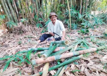 MAHMUD Salikun memotong buluh lemang yang ditempah pelanggan dikebunnya di Teluk Intan, Perak. - UTUSAN/AIN SAFRE BIDIN