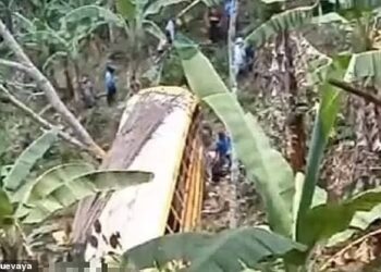 BAS itu terbabas dan terjunam ke dalam kawasan penyimpanan sarang lebah madu Afrika. - AGENSI