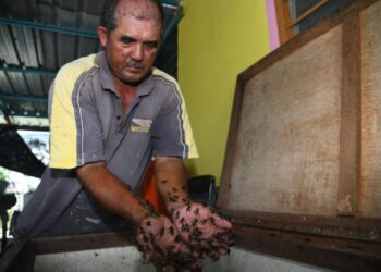 YUN Ikrap, 57, menunjukkan cengkerik yang dijualnya untuk dijadikan umpan memancing yang mendapat sambutan memberangsangkan di Kampung Alor Redis, Arau, Perlis, semalam.- UTUSAN/IZLIZAN OTHMAN