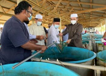 NIK Muhamad Zawawi Salleh (kanan) melihat benih ikan yang diternak di Kampung Tok Kederat, Kandis, Bachok, hari ini. - UTUSAN/ TOREK SULONG