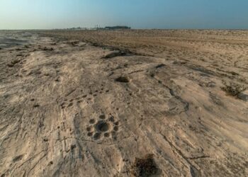 PAKAR menyifatkan ukiran batu di Al Jassasiya adalah unik di lokasi tersebut. - AGENSI