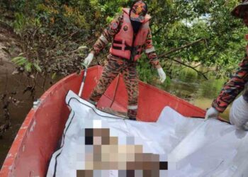 PASUKAN Bomba mengangkat mayat mangsa dibaham buaya di Sungai Rawog, Ladang Linbar 2, Beluran hari ini.