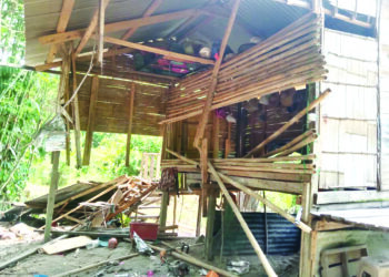 RUMAH adat milik keluarga Norfini Ajik rosak akibat dilanggar dan dilibas belalai gajah liar di Kampung Setig, Pos Betau di Lipis, Pahang. 
– IHSAN NORFINI AJIK