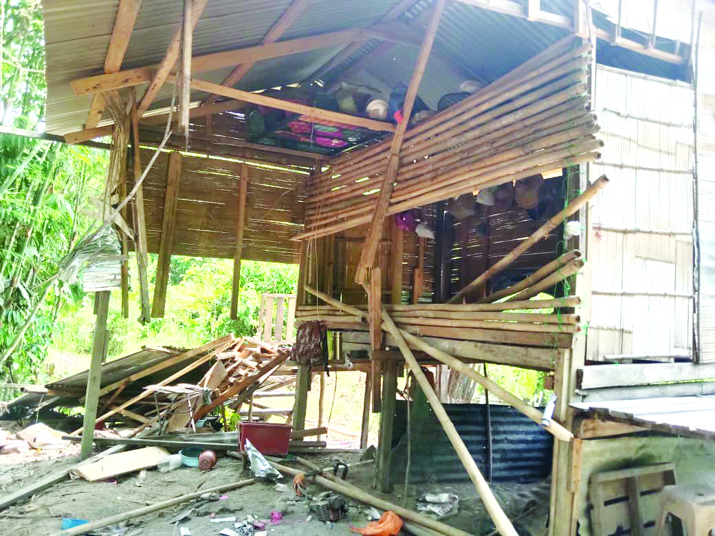 Enam ekor gajah liar ceroboh kebun durian, rosakkan rumah adat