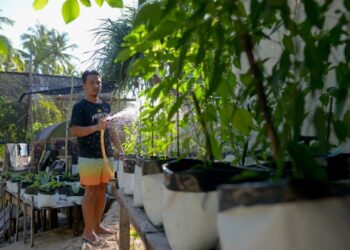 MOHD. Azaruddin Majid kini mengusahakan projek tanaman kecil-kecilan di tapak perkhemahan miliknya di Pulau Redang berikutan penutupan operasi sektor pelancongan akibat PKP 3.0. – FOTO/PUQTRA HAIRRY ROSLI