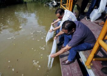 AWALUDIN Said (kiri) dan Shahnon melepaskan benih ikan lampam sungai dan baung pada Program Merdeka @ Komuniti Semarak Bulan Kebangsaan dan Hari Malaysia 2021 Daerah Rembau serta Sepakat Komuniti di Jeti Pangkalan Nelayan Sungai Timun, Rembau hari ini.-UTUSAN/MOHD. SHAHJEHAN MAAMIN.