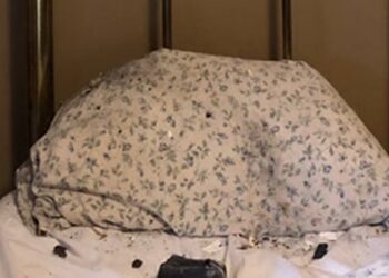 METEORIT yang jatuh menembusi bumbung rumah Ruth Hamilton lalu mendarat di bantal bersebelahan tempat tidurnya. - RUTH HAMILTON