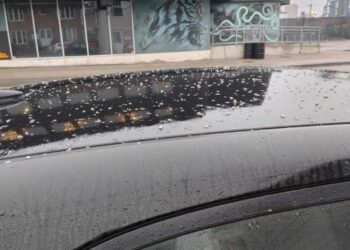 KULIT kacang soya bertaburan di atas kenderaan penduduk di Hamilton. – ADRIENNE VAN HALEM