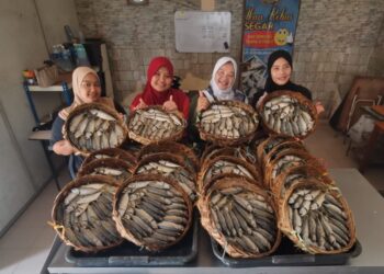 NOR Hidayah Abdul Moin (dua dari kanan) bersama pekerja menunjukkan ikan rebus yang sudah siap diproses di Felcra Changkat Lada, Kampung Gajah, Seberang Perak di Pasir Salak. - UTUSAN/AIN SAFRE BIDIN