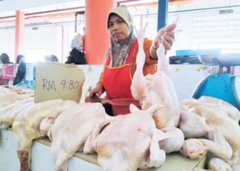 KHARIZAN Othman menunjukkan ayam yang dijualnya di Pasar Besar Bandar Tasek Raja, Pasir Mas, Kelantan. - UTUSAN/ROHANA ISMAIL