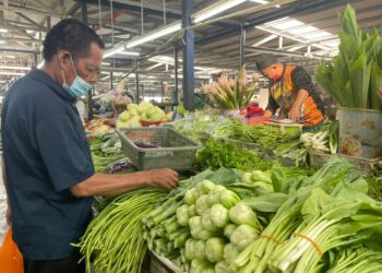 BILANGAN rakyat Malaysia makan sayur dalam hidangan utama sangat rendah. - GAMBAR HIASAN