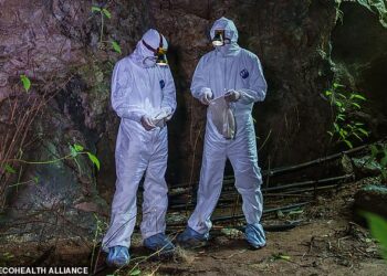 BEBERAPA ladang haiwan liar terletak kira-kira 1.6 km dari laluan masuk ke gua kelawar di Enshi. - ECOHEALTH ALLIANCE