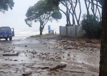 SERPIHAN kayu yang dibawa daripada Taufan Gabrielle di Pantai Orewa, utara Auckland.-AGENSI