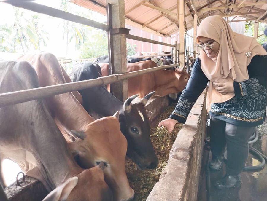 Program korban luar negara resahkan penternak tempatan