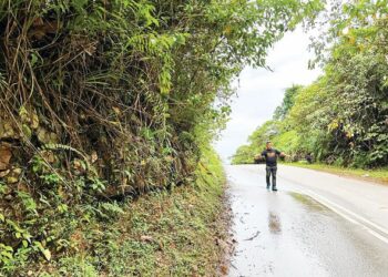 LALUAN yang semakin sempit menyukarkan penduduk dan pengguna setiap kali melalui Bukit Jerek di Kampung Jerek, Gua Musang, Kelantan. - UTUSAN/AIMUNI TUAN LAH