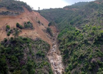 AKTIVITI penerokaan hutan tanpa kawalan akan menyumbang kepada berlakunya kepupusan spesies flora dan fauna, selain meningkatan konflik manusia-hidupan liar. – UTUSAN/ZULFACHRI ZULKIFLI