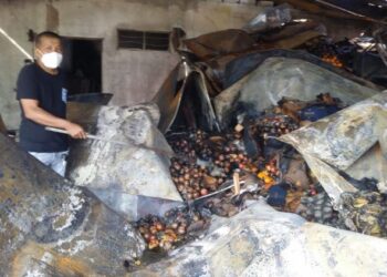 MOHD. Latif Osman menunjukkan pelbagai  jenis buah-buahan yang rosak dan musnah selepas kedai miliknya di Jalan Teluk Wang, Sungai Pasir, Sungai Petani terbakar malam aemalam. - UTUSAN/OTHMAN YAHAYA