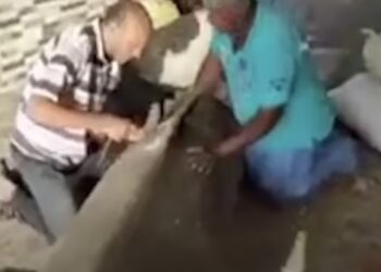 TANGKAP layar video menunjukkan pakar sedang membedah  badan jerung yang menyerang pelancong Russia. - AGENSI
