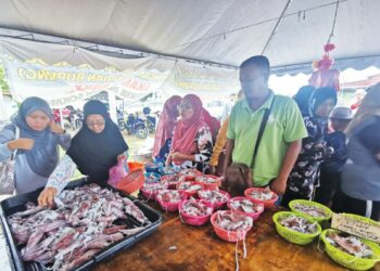ORANG ramai memilih sotong segar yang dijual di Kuala Terengganu. – UTUSAN/KAMALIZA KAMARUDDIN