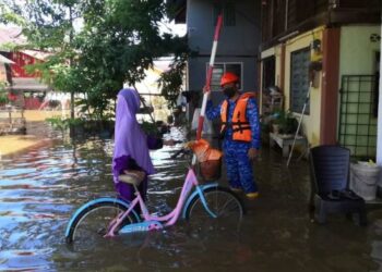 ANGGOTA APM memperkatakan sesuatu kepada seorang mangsa banjir di Kampung Tanjung Radin, Pendang, Kedah.