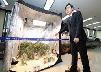 PEGAWAI dari pejabat pendakwa daerah pusat Seoul menunjukkan ganja dirampas dalam sidang akhbar di selatan Seoul. - YONHAP 