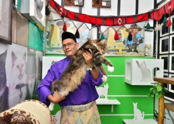 Sejak di bangku sekolah lagi Khalid Rashid suka kutip kucing jalanan lalu di bawa balik ke rumahnya untuk dirawat dan dibela.