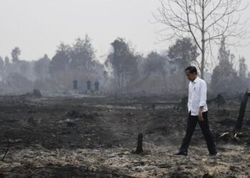 JOKO Widodo menzahirkan kebimbangkan jika berlaku kebakaran hutan dan tanah ketika musim kemarau. - ANTARAFOTO