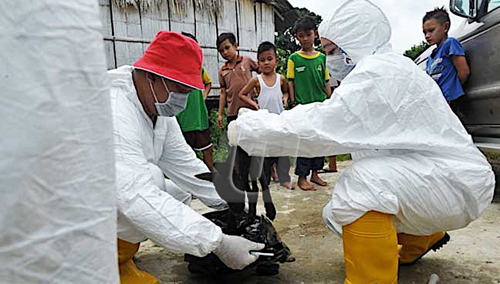 Satu lagi kes kematian rabies di Sarawak - Utusan Malaysia