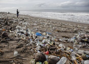 SAMPAH yang memenuhi kawasan pantai di Bali. - AGENSI
