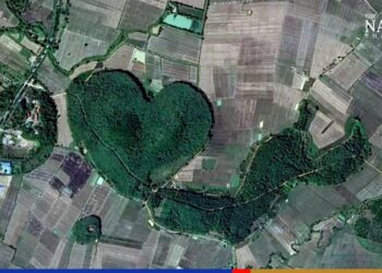 GAMBAR pemandangan udara menunjukkan sebuah kawasan hutan berbentuk hati di Chaing Rai, Thailand. - AGENSI    