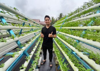 WAN Muhamad Anis Wan Mat bersama sayur-sayuran yang ditanam menggunakan kaedah hidroponik di belakang rumahnya di Bandar Mas, Kota Tinggi.