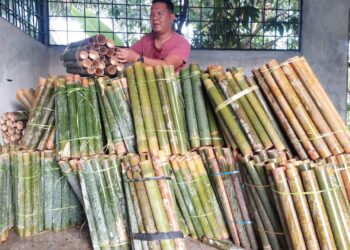NOOMI Rani menyusun bekalan buluh lemang di stor penyimpanannya di Puchong, Selangor.
