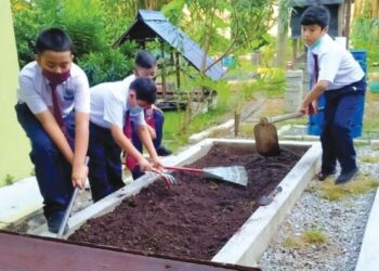 MURID SK Sijangkang Jaya menggemburkan tanah dan membuat batas sebagai permulaan untuk menanam sayur-sayuran dalam kawasan sekolah mereka di Kuala Langat, Selangor. – FOTO/ABDUL RAZAK IDRIS