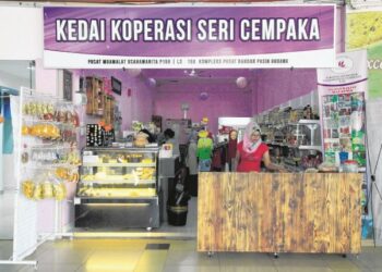 PELBAGAI usaha yang diambil oleh pihak kerajaan dalam memastikan sektor koperasi di negara ini terus kekal relevan.