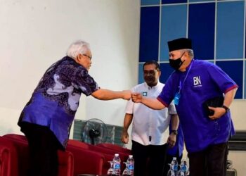 Kerjasama antara UMNO, Pas dan Bersatu dilihat paling ideal dalam usaha membentuk sebuah kerajaan yang berkaliber dalam pelbagaii urusan.