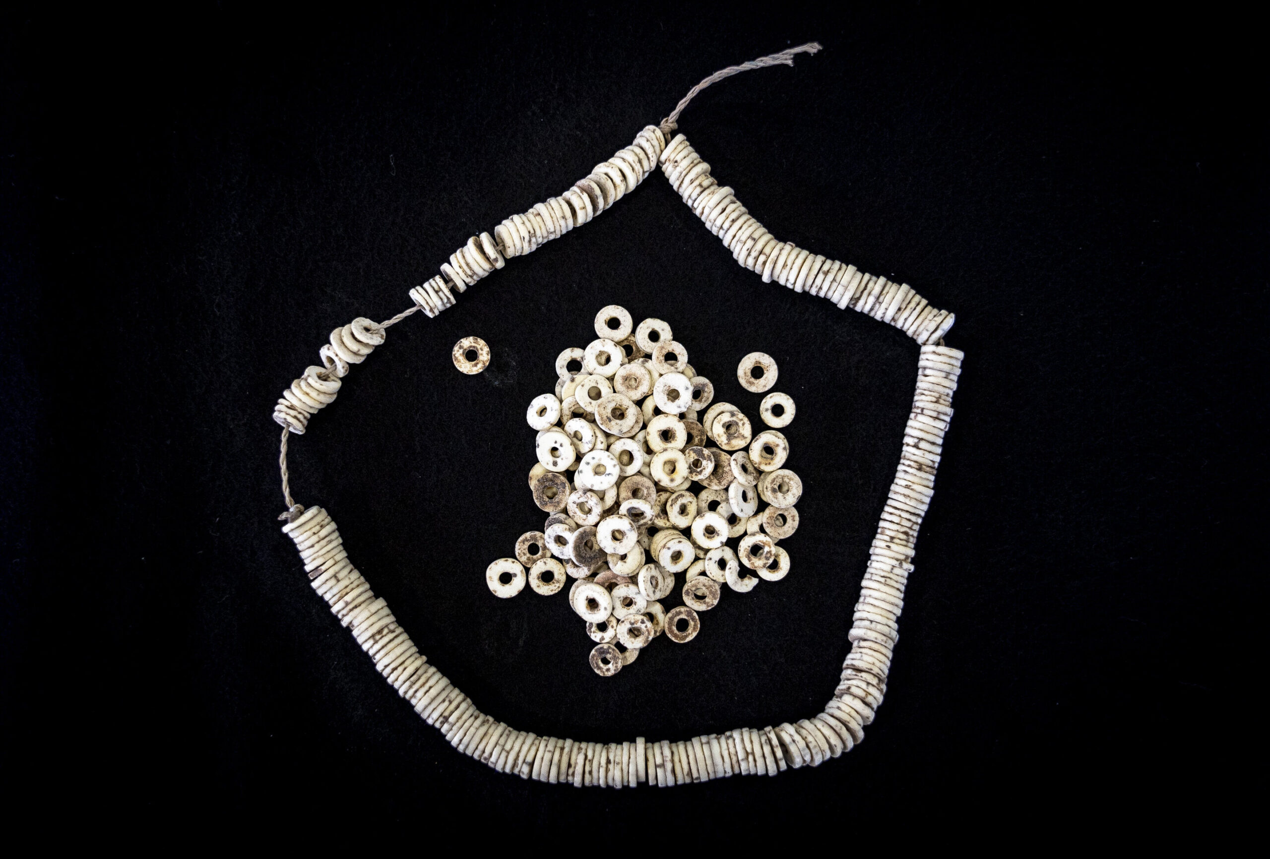 Des scientifiques découvrent le plus ancien réseau social du monde utilisant des perles