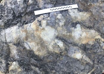 TAPAK kaki dinosaur yang ditinggalkan 166 juta tahun lalu ditemukan di pantai Yorkshire, United Kingdom (UK). - AGENSI